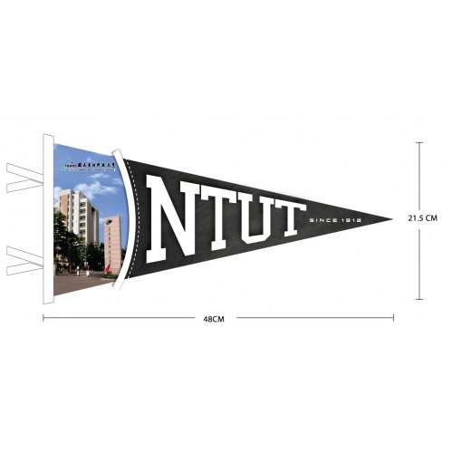 NTUT全彩校景三角旗